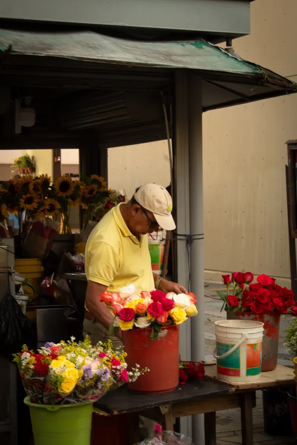 Florista armando ramos entre girasoles y rosas